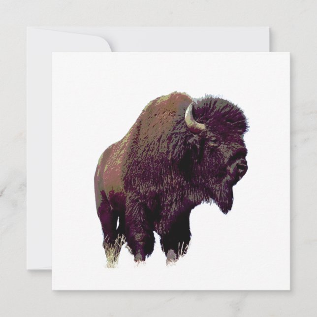 Bison Büffel  (Vorderseite)