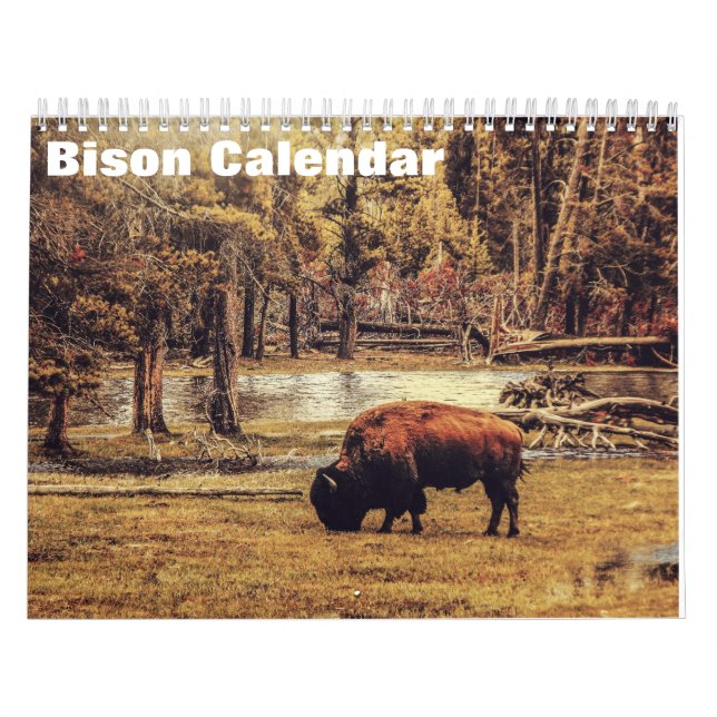 Bison Büffel 2027 Kalender (Titelbild)