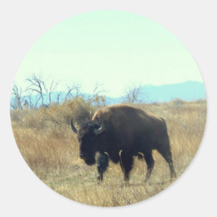 Bison-Büffel-Stier-Aufkleber Runder Aufkleber