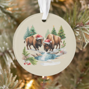 Bison Buffle Animal Faune Sauvage de l'Ouest Noël