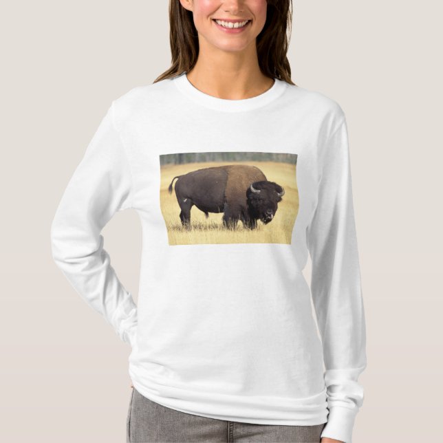 Bison Bull in Yellowstone National T-Shirt (Vorderseite)
