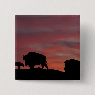 Bison Button