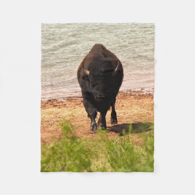 Bison By The Water Fleecedecke (Vorderseite)