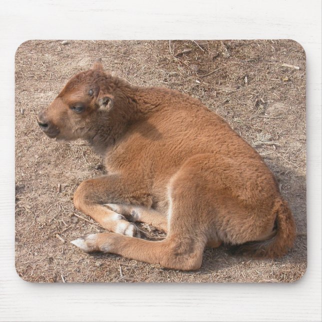 Bison Calf Mousepad (Vorne)