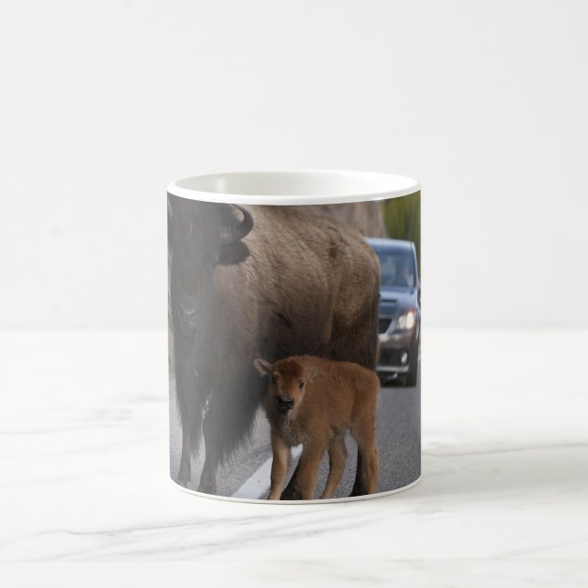 Bison Calf Roadblock Kaffeetasse (Mittel)