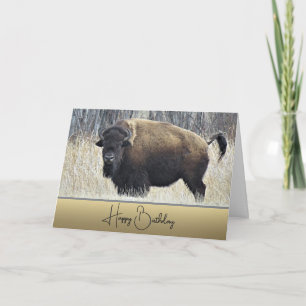 Bison - Carte Anniversaire