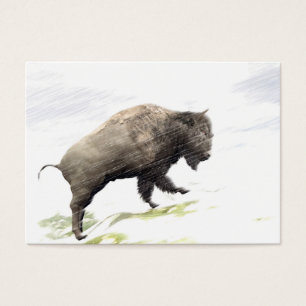 Bison dans la tempête d'hiver