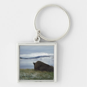 Bison, der an durch Yellowstone River mit Schnee Schlüsselanhänger