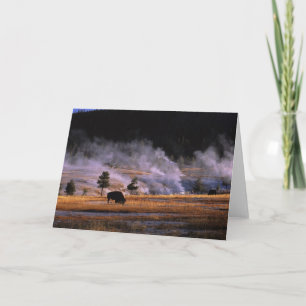 Bison, der nahe im oberen Geysir-Becken weiden Karte