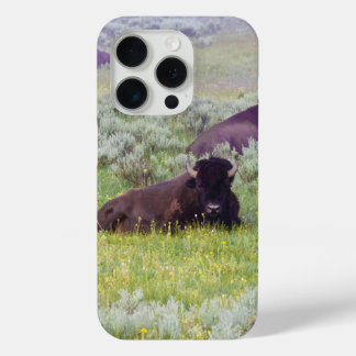 Bison Dreams Phone Wallet Case-Mate iPhone Hülle