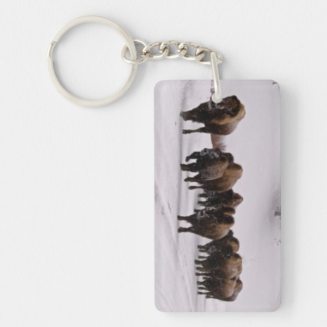 Bison en hiver (Devant)