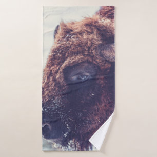 BISON EN HIVER