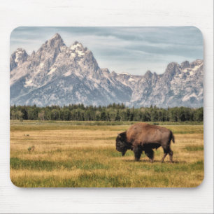 Bison im Tetons Mousepad