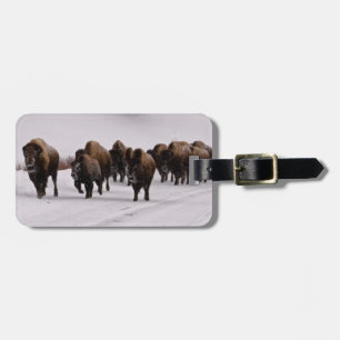 Bison im Winter Gepäckanhänger
