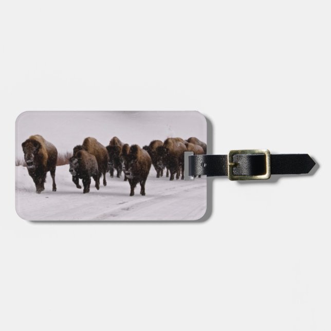 Bison im Winter Gepäckanhänger (Vorderseite horizontal)