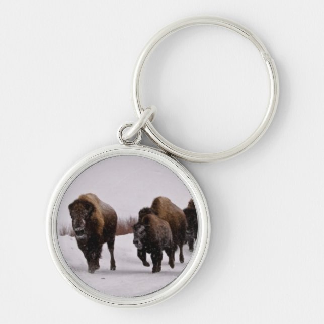 Bison im Winter Schlüsselanhänger (Vorne)