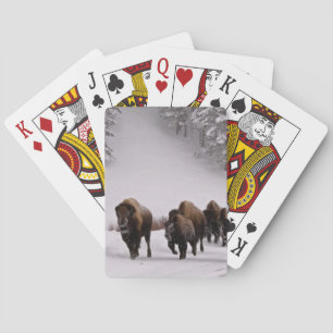Bison im Winter Spielkarten
