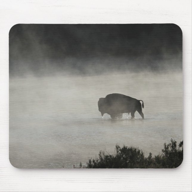 Bison im Winter Yellowstone Mousepad (Vorne)