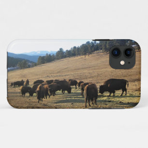 Bison in Colorado Case-Mate iPhone Hülle
