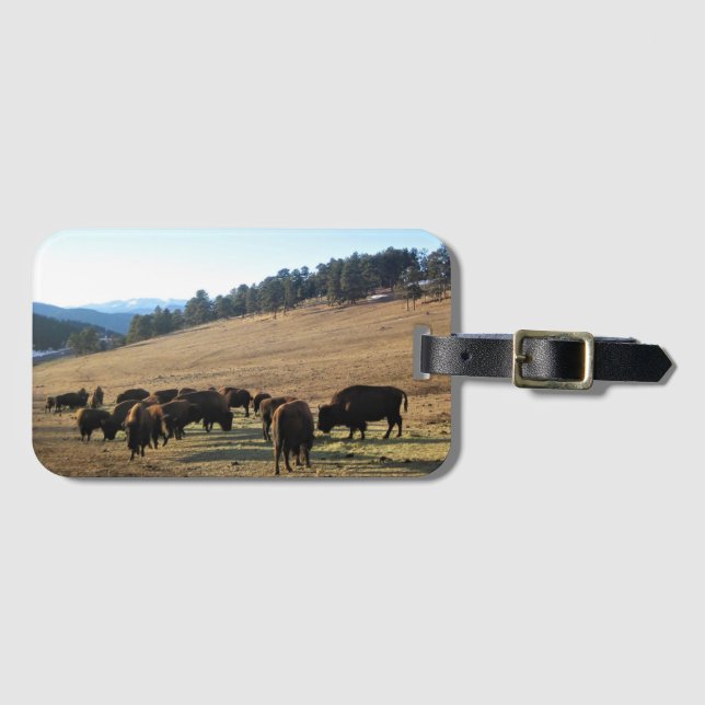 Bison in Colorado Gepäckanhänger (Vorderseite (Horizontal))