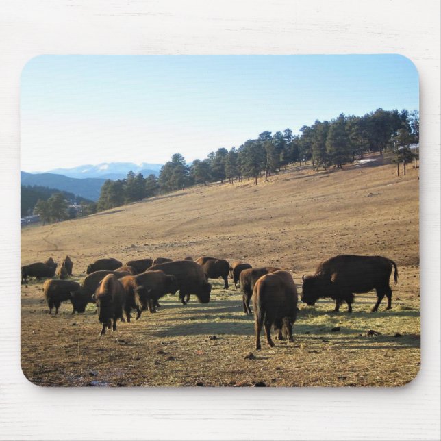 Bison in Colorado Mousepad (Vorne)