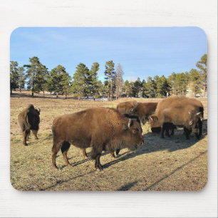 Bison in Colorado Mousepad