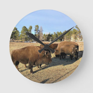 Bison in Colorado Runde Wanduhr