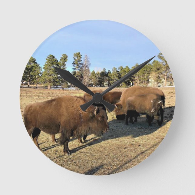 Bison in Colorado Runde Wanduhr (Vorderseite)