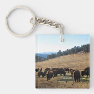 Bison in Colorado Schlüsselanhänger