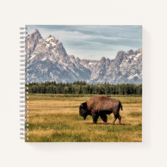 Bison in den Tetons Notizbuch (Vorderseite)