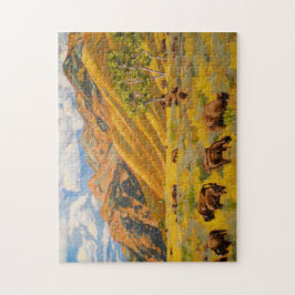 Bison, Jackson Hole
