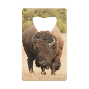 Bison Kreditkarten Flaschenöffner