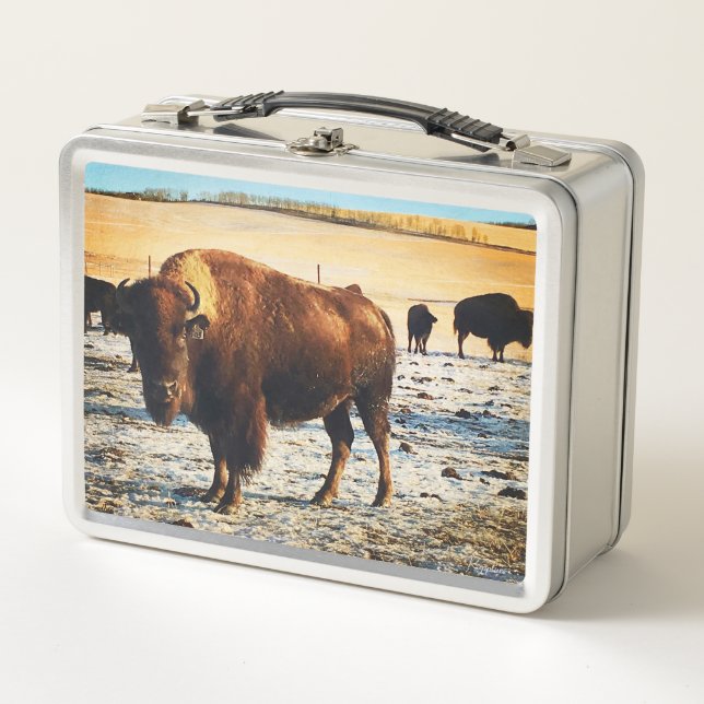 Bison Lunchbox (Vorderseite)