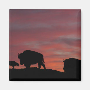 Bison Magnet