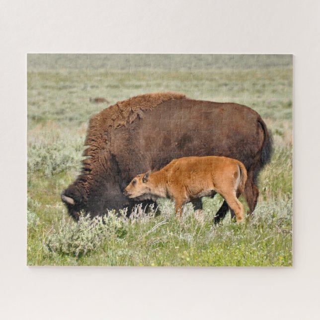 Bison Mama und Baby Design Puzzle (Horizontal)