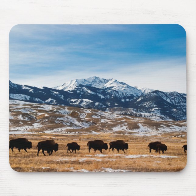 Bison-Migration Mousepad (Vorne)
