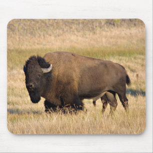 Bison mousepad