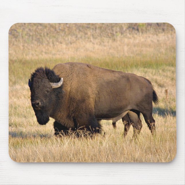 Bison mousepad (Vorne)