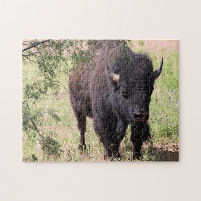 Bison Nah up (Horizontal)