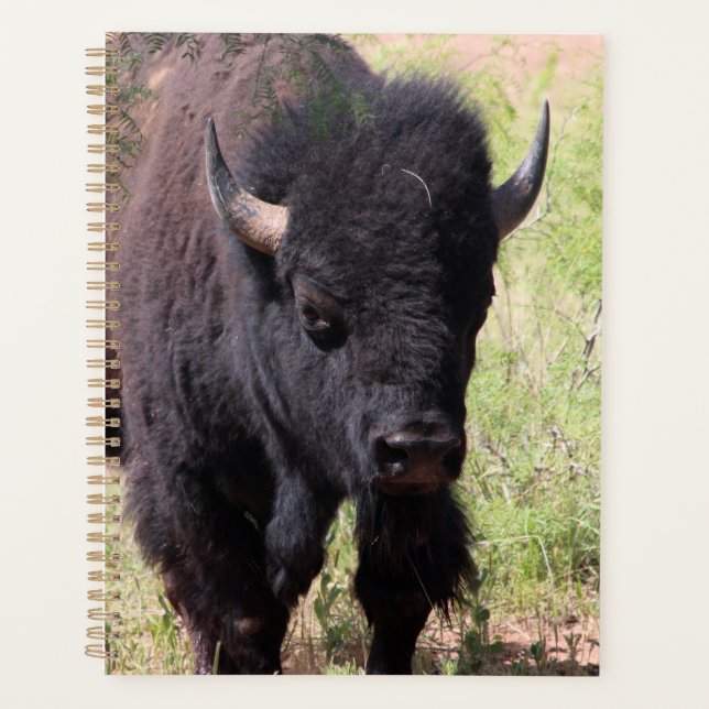 Bison Nah up Planer (Vorderseite)