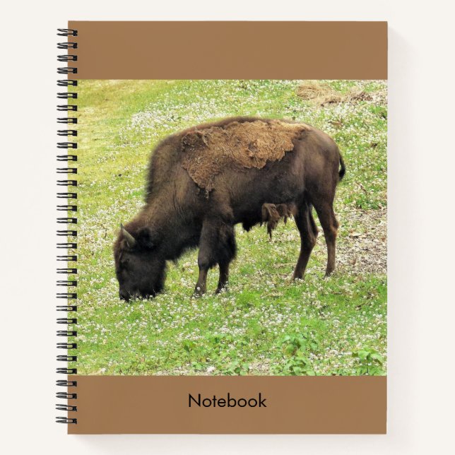Bison-Notebook Notizbuch (Vorderseite)