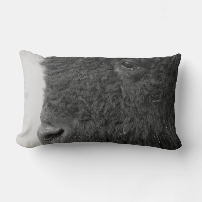 Bison-oder Büffel-Kissen Lendenkissen (Vorderseite)