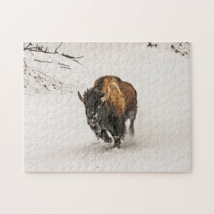 Bison Plodding Through Snow - 252 Stück