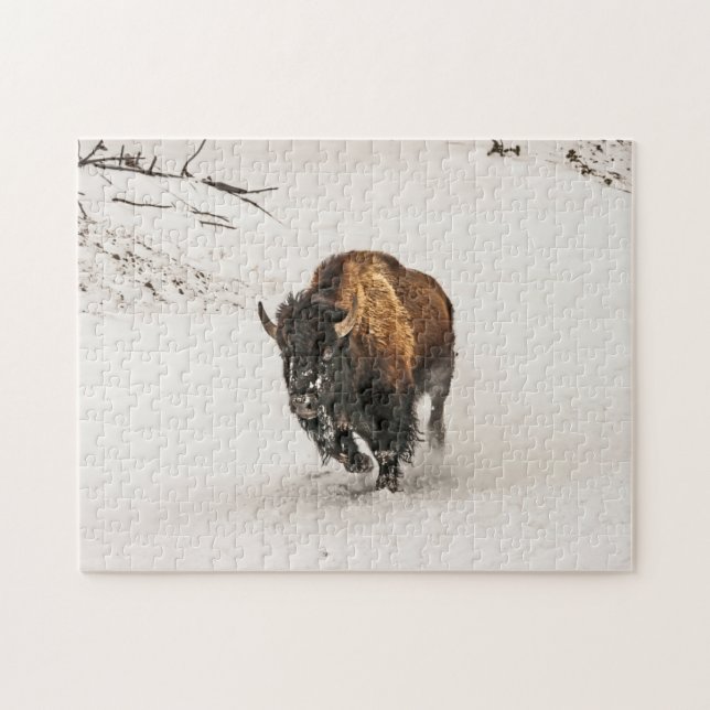 Bison Plodding Through Snow - 252 Stück (Horizontal)