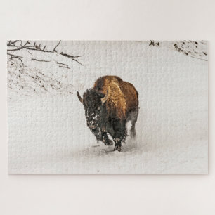 Bison Plodding Through the Snow - 1014 Stück