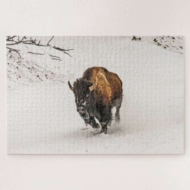 Bison Plodding Through the Snow - 1014 Stück (Horizontal)