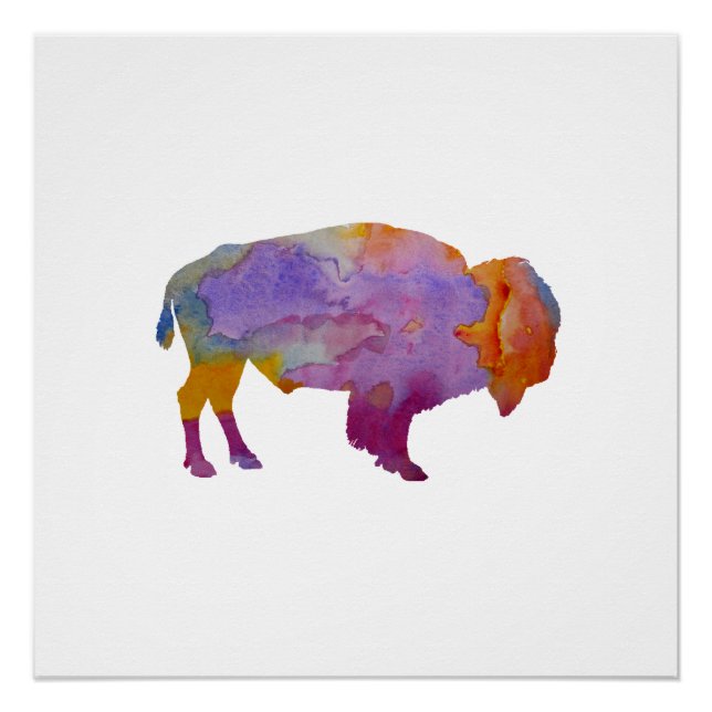 Bison Poster (Vorderseite)