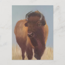 Bison Postkarte