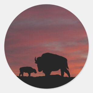 Bison Runder Aufkleber