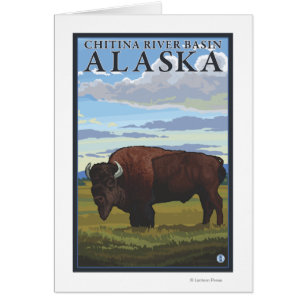 Bison Scene - Chitina River Basin, Alaska